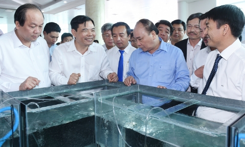 Ngành tôm quyết mang về kim ngạch 10 tỷ USD