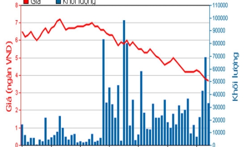 TTF miễn nhiệm một phó tổng giám đốc
