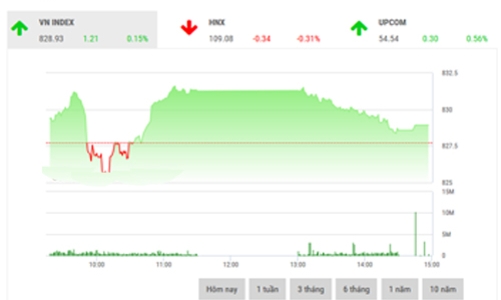Nhận định chứng khoán ngày 20/10: “Rung lắc còn xuất hiện”