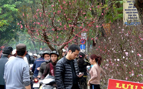 Bộ Luật lao động (sửa đổi) có hiệu lực từ 1/5/2013 quy định thời gian 
nghỉ Tết Nguyên đán của người lao động sẽ tăng từ 4 lên 5 ngày. 