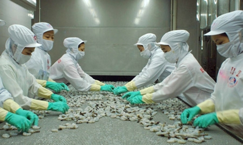 Dự báo kim ngạch xuất khẩu thủy sản quý 3 đạt 1,84 tỷ USD