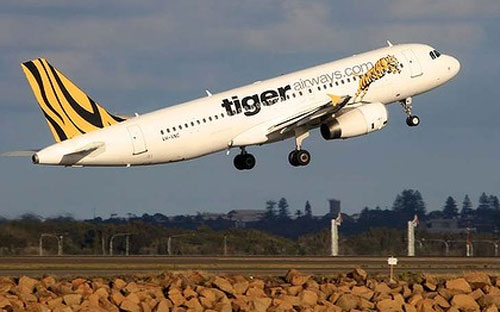 Tiger Airways Singapore bắt đầu đi vào hoạt động từ năm 2004. Tính đến 
31/3/2013, hãng có 20 máy bay Airbus A320 đang hoạt động 