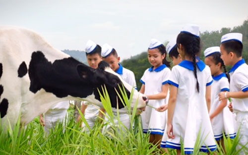 Mỗi năm Vinamilk có khoảng 7 tỷ sản phẩm được người tiêu dùng trên toàn quốc tin dùng.