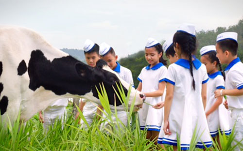 Mỗi năm Vinamilk có khoảng 7 tỷ sản phẩm được người tiêu dùng trên toàn quốc tin dùng.
