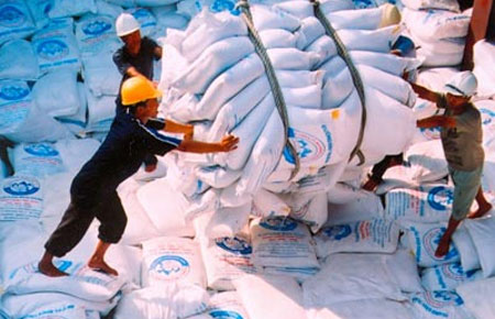 Không ít doanh nghiệp đang chạy đua xây dựng hệ thống kho chứa mới đạt chuẩn theo Nghị định 109 với hy vọng được cấp giấy phép xuất khẩu gạo thời hạn 5 năm.