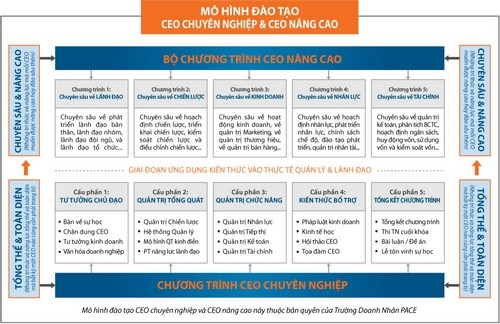 CEO chuyên nghiệp học CEO nâng cao 1