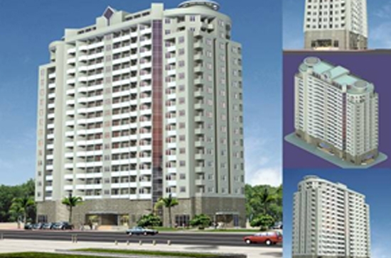 V12 dự kiến lợi nhuận sau thuế đạt gần 15 tỷ đồng trong năm 2011.