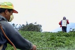 VFG dự kiến lợi nhuận trước thuế đạt 134,474 tỷ đồng; cổ tức dự kiến 20% trong năm 2011.