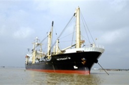 Đội tài của công ty.