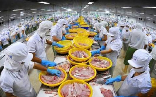 Vĩnh Hoàn là doanh nghiệp thứ 3 trên thị trường chính thức được nới room
 lên 100% sau SSI và EVE.