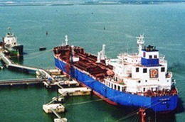 Từ 2011 - 2015, công ty dự kiến sẽ tăng vốn điều lệ lên 1.000 tỷ đồng.