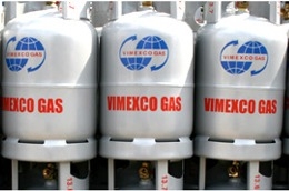 Quý 2/2011, VMG lỗ 2,49 tỷ đồng.