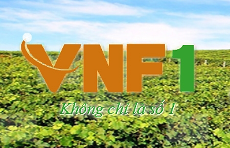Ước tính, vốn chủ sở hữu của VNF 1 tính đến hết năm 2011 là 3.165 tỷ đồng, tăng 17,7% so với năm 2010; doanh thu năm 2011 đạt 11.204 tỷ đồng, tăng 43,2% tăng so với năm 2010.