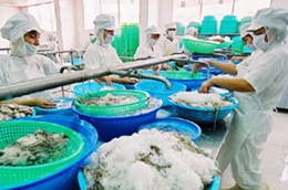 Theo VNH, tiến độ xuất hàng luôn được đảm bảo đều đặn là một trong những yếu tố hỗ trợ giá cổ phiếu trên sàn.