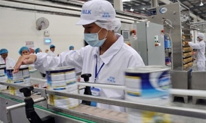 SCIC chốt đơn vị tư vấn để thoái 3,33% vốn tại Vinamilk 