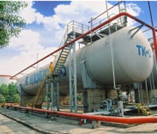 PVG được niêm yết 26,617 triệu cổ phiếu phổ thông với tổng giá trị niêm yết theo mệnh giá là 266,17 tỷ đồng.