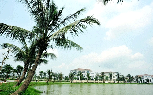 Chương trình diễn ra tại khu đô thị hiện đại Vincom Village, nơi có không gian rộng lớn.