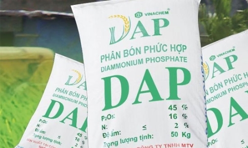 Cổ phần hóa 6 doanh nghiệp thuộc Vinachem