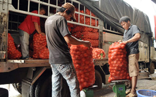 Bộ Nông nghiệp và Phát triển nông thôn đang xây dựng dự thảo quy định xử
 phạt đối với vấn đề này nhằm nghiêm trị những thương lái trong nước hám
 lợi, tiếp tay trái phép cho thương lái nước ngoài thu gom thủy sản, 
nông sản nội địa - Ảnh minh họa.<br>