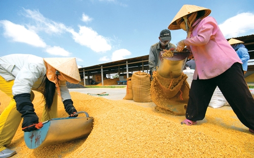 1/8/2017, khi Trung Quốc thay đổi chính sách thuế nhập khẩu 
lương thực.