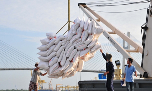 Xuất khẩu gạo đã khó càng khó hơn