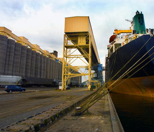 Có 26 trên 35 mặt hàng xuất khẩu chủ yếu có kim ngạch giảm so với cùng kỳ năm trước như dầu thô, điện tử máy tính và linh kiện, than, hạt điều, sản phẩm, chất dẻo, dây điện và cáp điện, cao su,...