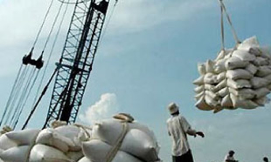 Hoạt động xuất khẩu nông sản của Việt Nam năm 2009 được dự báo sẽ gặp nhiều khó khăn do cuộc khủng hoảng tài chính - suy thoái kinh tế của nhiều nước trên thế giới.