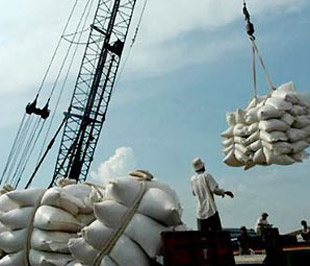 Hoạt động xuất khẩu nông sản của Việt Nam năm 2009 được dự báo sẽ gặp nhiều khó khăn do cuộc khủng hoảng tài chính - suy thoái kinh tế của nhiều nước trên thế giới.