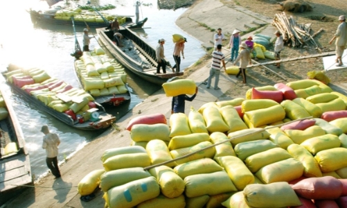 Nhiều nông sản Việt khó xuất chính ngạch sang Trung Quốc