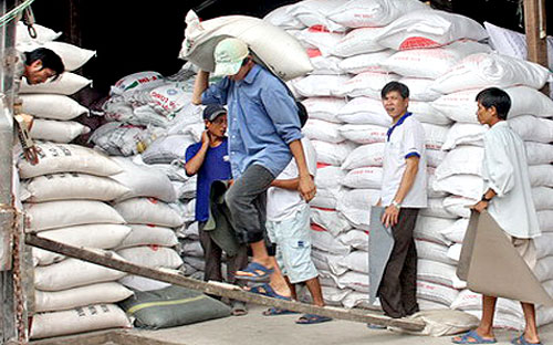 Năm 2011, xuất khẩu gạo của Việt Nam đạt mức 7,105 triệu tấn, theo thống kê của VFA.