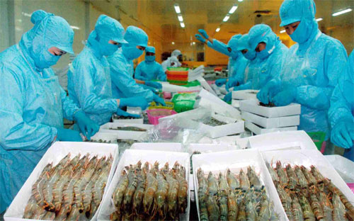 Ước tổng kim ngạch xuất khẩu tôm 9 tháng đầu năm 2013 đạt trên 2 tỷ USD.