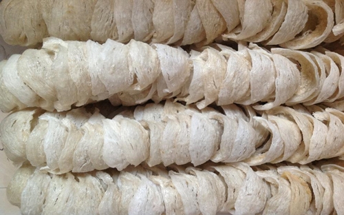 Sản lượng tổ yến khai thác được của Việt Nam chỉ khoảng 10 tấn/năm. 