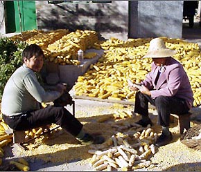 Nông dân Trung Quốc sẽ được trợ cấp về giống và vật tư nông nghiệp, như phân bón và thuốc trừ sâu.