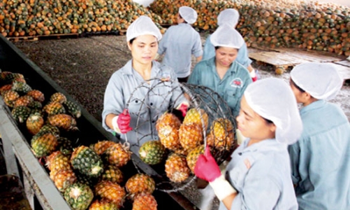 Giá trị xuất khẩu rau quả Việt Nam có cơ hội tăng vọt