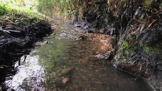 Khe nước đầu nguồn của nhà máy nước Sông Đà có dấu hiệu bị kẻ xấu đổ trộm dầu nhớt thải.