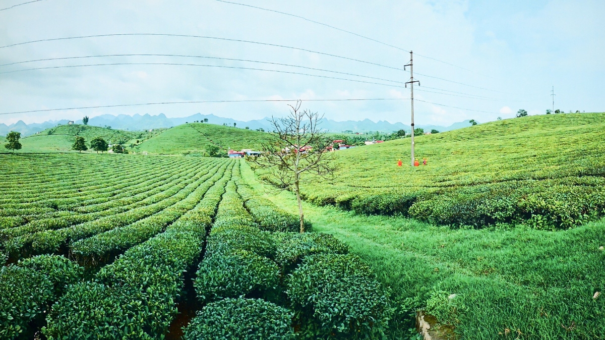 Lưới điện nông thôn ở các tỉnh phía Bắc đã được củng cố và đảm bảo vận hành an toàn, chất lượng.