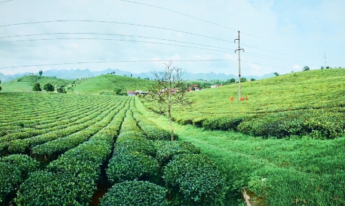 Khát vọng đưa điện về nông thôn