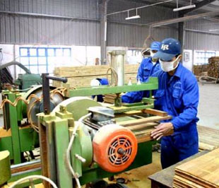 "Trong tương lai gần, không có cách nào khác là chúng ta phải tiếp tục nhập khẩu gỗ nguyên liệu".