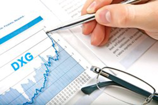 Năm 2011, DXG dự kiến lợi nhuận sau thuế đạt 80 tỷ đồng.