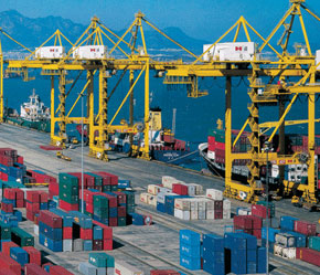 Trong danh sách trên, có 17 công ty đang xuất khẩu tôm và một số loại hải sản khác sang thị trường Mỹ.