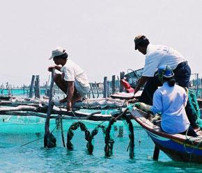 Các cảng cá cũng sẽ nằm trong danh mục kiểm tra của thanh tra EU - Ảnh: Việt Tuấn