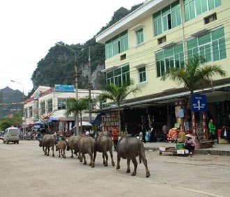 Lạng Sơn thu hút được 7 dự án vào loại lớn.