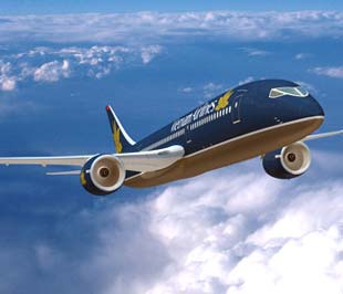 Quý 1/2009, Vietnam Airlines đã thực hiện được 18.087 chuyến bay an toàn, vận chuyển được 2.265.530 hành khách đạt 23,7% so với kế hoạch 2009 và giảm gần 5% so với cùng kỳ.