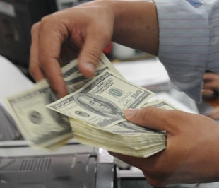 Theo giải thích của một số ngân hàng, việc tăng lãi suất huy động USD gần đây là nhằm gọi vốn đáp ứng nhu cầu vay của doanh nghiệp đang gia tăng - Ảnh: Quang Liên.