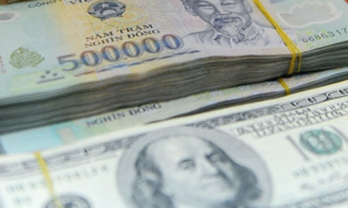 Đề xuất lập ngay “quỹ ổn định tỷ giá VND”