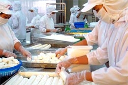 Các nhà máy đông lạnh của AGF đang đẩy mạnh sản xuất để đáp ứng kịp thời các đơn hàng vào dịp cuối năm. 