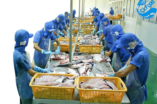 Cổ phiếu thủy sản phù hợp với hoạt động đầu tư dài hạn