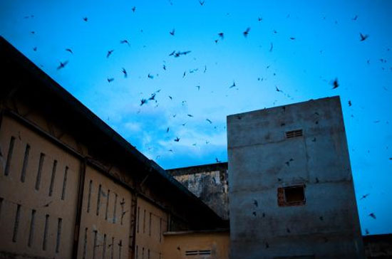 Một nhà nuôi yến của Yến Việt tại Phan Rang.