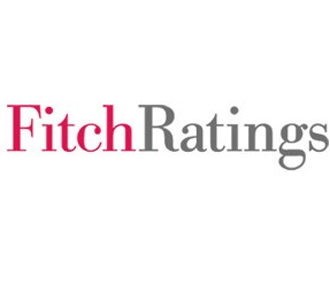 Lý do của sự cắt giảm triển vọng này mà Fitch Ratings đưa ra Chính phủ Việt Nam đã chậm trễ trong việc chống lạm phát, khiến tỷ lệ lạm phát so với cùng kỳ năm ngoái hiện đã lên tới 25%.