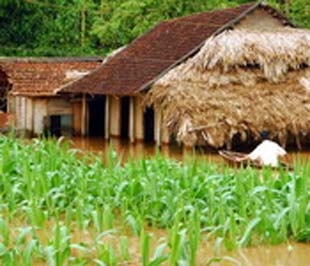 Theo thống kê chưa đầy đủ, tính đến 22h ngày 10/8, trận mưa lũ lịch sử do ảnh hưởng của hoàn lưu bão số 4 tại các tỉnh miền núi phía Bắc đã khiến 100 người chết, 37 người mất tích và 27 người bị thương.